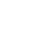 Duck Birds Ducks