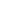 Duck Birds Ducks