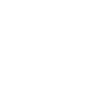 Duck Birds Ducks