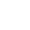 Duck Birds Ducks