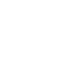 Duck Birds Ducks
