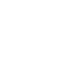 Duck Birds Ducks
