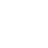 Duck Birds Ducks