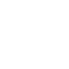 Duck Birds Ducks