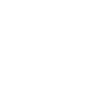 Duck Birds Ducks