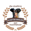 Idée cadeau Setter Anglais