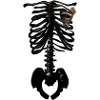 Mysterious Golden Heart