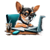 Chihuahua Travail domicile Bureau Travail