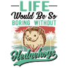 Hedgehog Gift Spiny Hedgehog