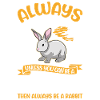 Lapin lapin lapin lapin