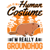 Marmotte humaine marmotte Murmeltier