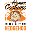 Hedgehog Halloween Hedgehog Costume