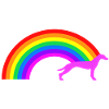 Greyhound Rainbow