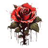 Beautiful Rose