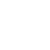 Strong eagle silhouette