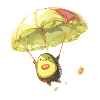 Skydiving Avocado