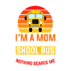 Bus driver School bus driver