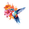 Adorable aquarelle d’un colibri
