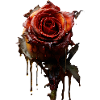 Melting Rose