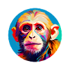 Capuchin monkey