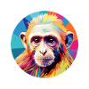 Capuchin monkey