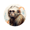 Singes capucins