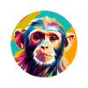 Capuchin monkey