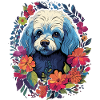 Bichon Frise Chien Cadeau