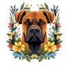 Boxer hund gave