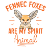 Fennek Fuchs Fennec Fox Wüstenfuchs
