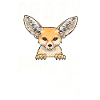 Fennek Fuchs Fennec Fox Wüstenfuchs