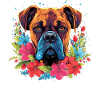 Cadeau Boxer Dog