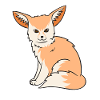 Fennek Fuchs Fennec Fox Wüstenfuchs