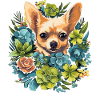 Chihuahua Dog Gift