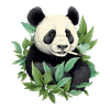 Panda bear smoking