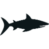 Hai