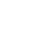 Medieval Lion Banner