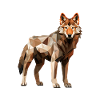 Wolf Geometric Drawing