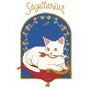 Saguittarius Zodiac Sign Cat