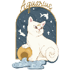 Aquarius Zodiac Sign Cat