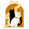 Gemini Zodiac Sign Cat