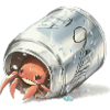 Hermit Crab
