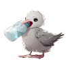Albatross Chick Plastic Pollution