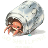 So Shellfish Hermit Crab