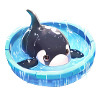 Orca