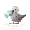 Albatross Chick Plastic Pollution.