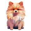 Dessin géométrique Spitz miniature