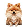Dessin géométrique Spitz miniature