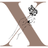 Letter x Magic butterfly