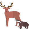 Waldtiere